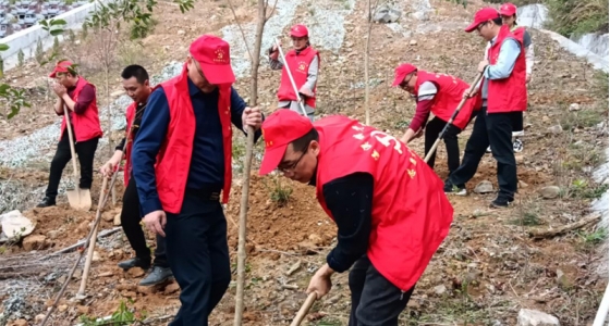 村企共建，共植先鋒林